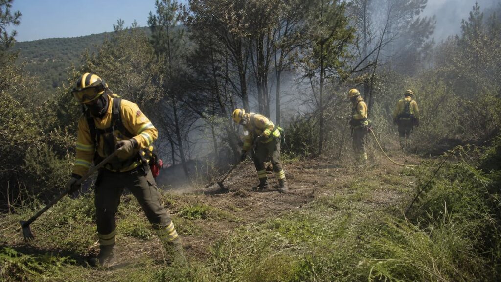 Bomberos forestales trabajan en una zona de monte con humo de fondo, realizando labores de control y extinción de un incendio con herramientas manuales y una línea de manguera.