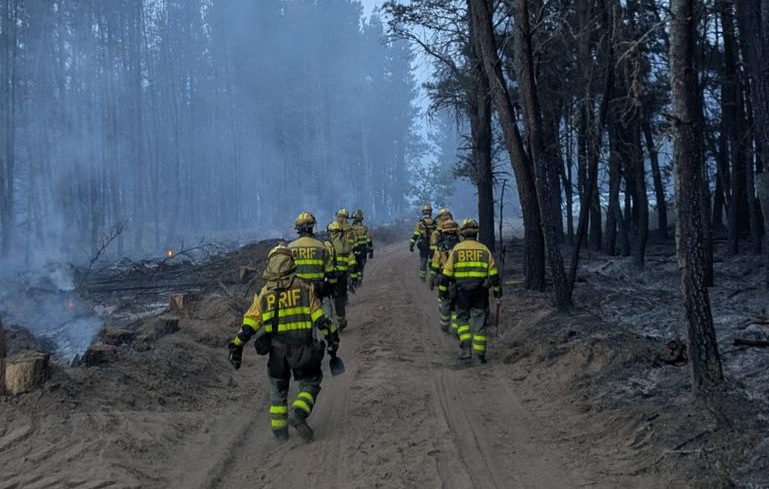 Imagen de Brigadas de Refuerzo en Incendios Forestales tras una intervención frente al fuego