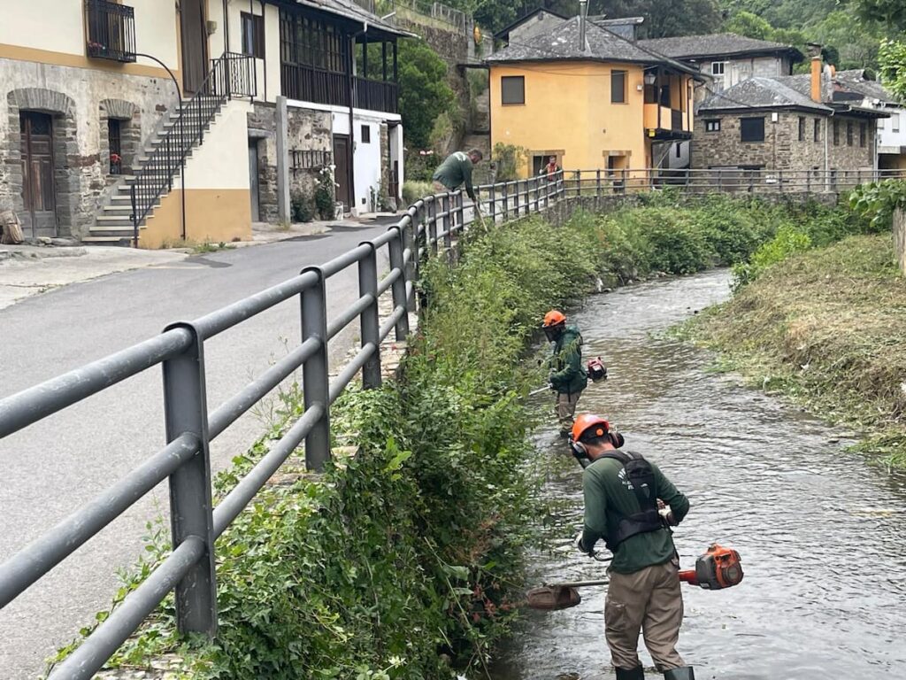 Operarios de la Escuela Taller realizan trabajos de desbroce en la ribera del río Oza en Valdefrancos.