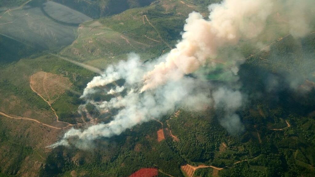 Incendio forestal en San Vicente, en Arganza, con una columna de humo sobre una zona de monte en El Bierzo.