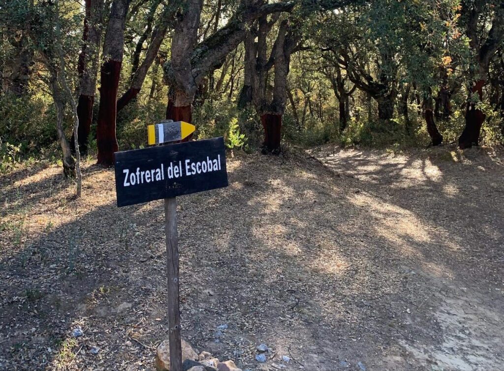 Señal de la ruta del Zofreral en Cobrana, rodeada de árboles y monte en el entorno natural