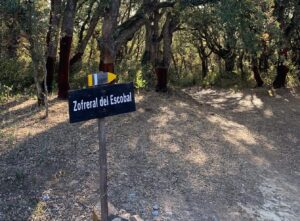 Señal de la ruta del Zofreral en Cobrana, rodeada de árboles y monte en el entorno natural