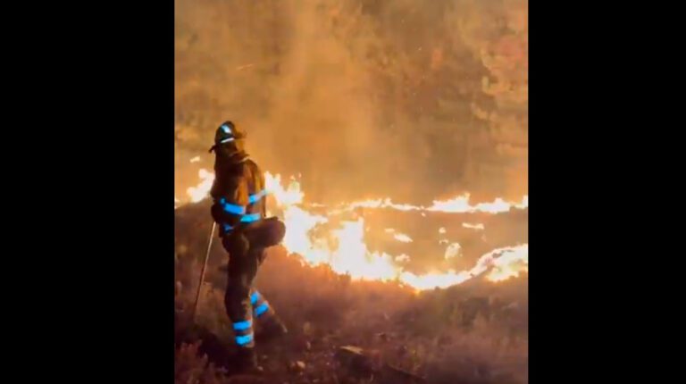 La BRIF de Tabuyo trabaja frente a las llamas durante la extinción del incendio forestal de Valdelaloba, en Toreno.