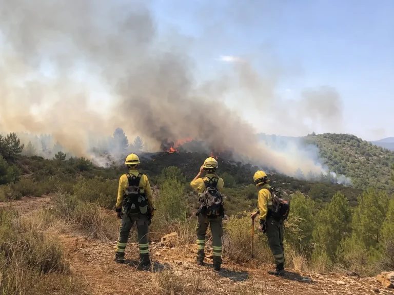 Bomberos forestales preparados para intervenir en un incendio