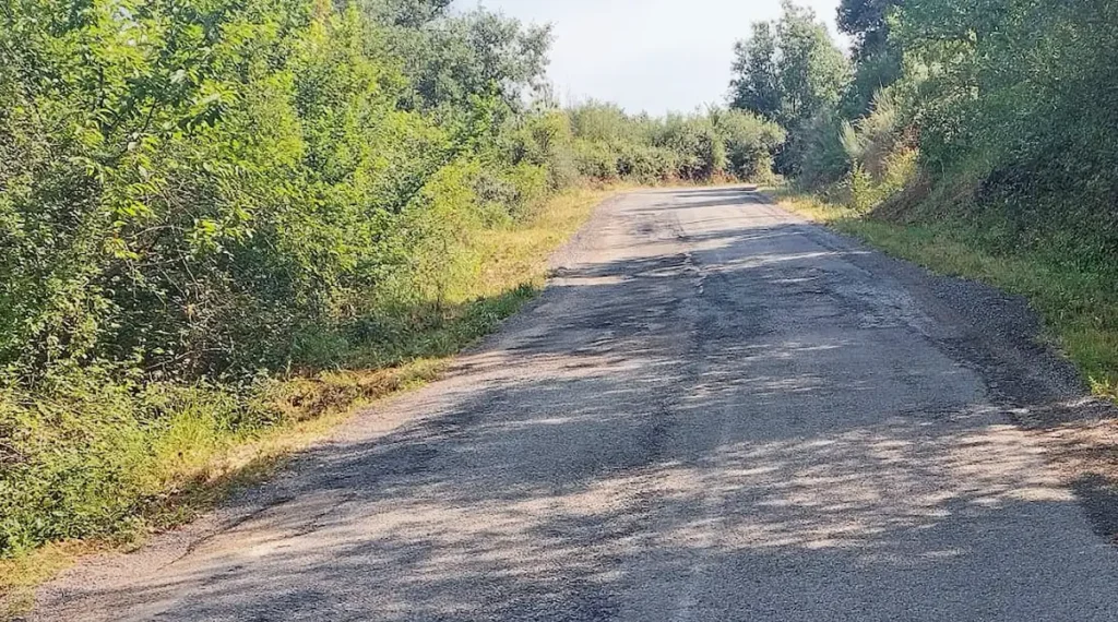 El PP exige arreglos en las carreteras de Castropodame