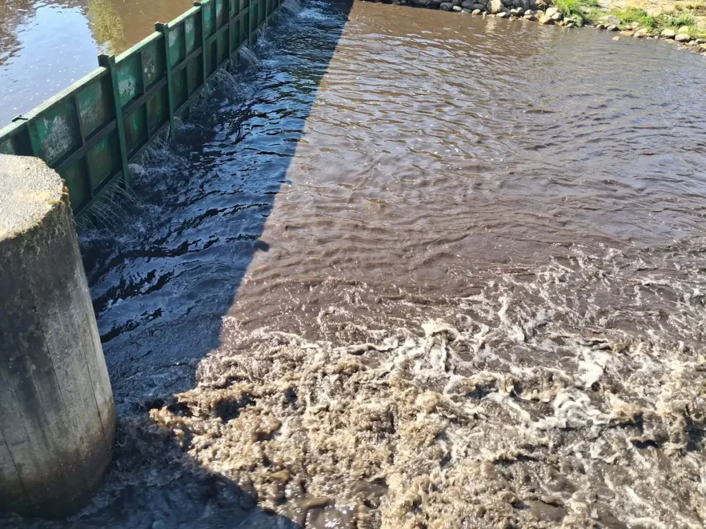 Agua turbia con lodos en el río Boeza a su paso por La Ribera de Folgoso, donde el arrastre de cenizas y restos vegetales ha afectado al abastecimiento