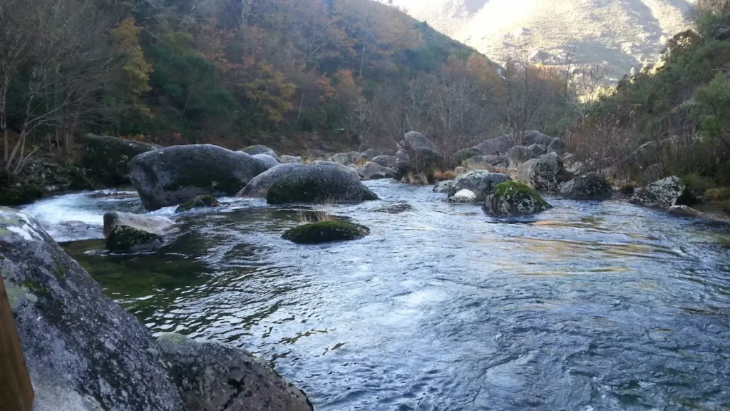 Río entre rocas y vegetación en una zona natural del Bierzo.