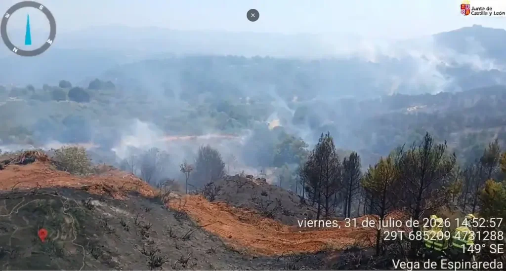 Incendio forestal de Veguellina con terreno calcinado y columnas de humo durante las labores de extinción del 31 de julio de 2026.
